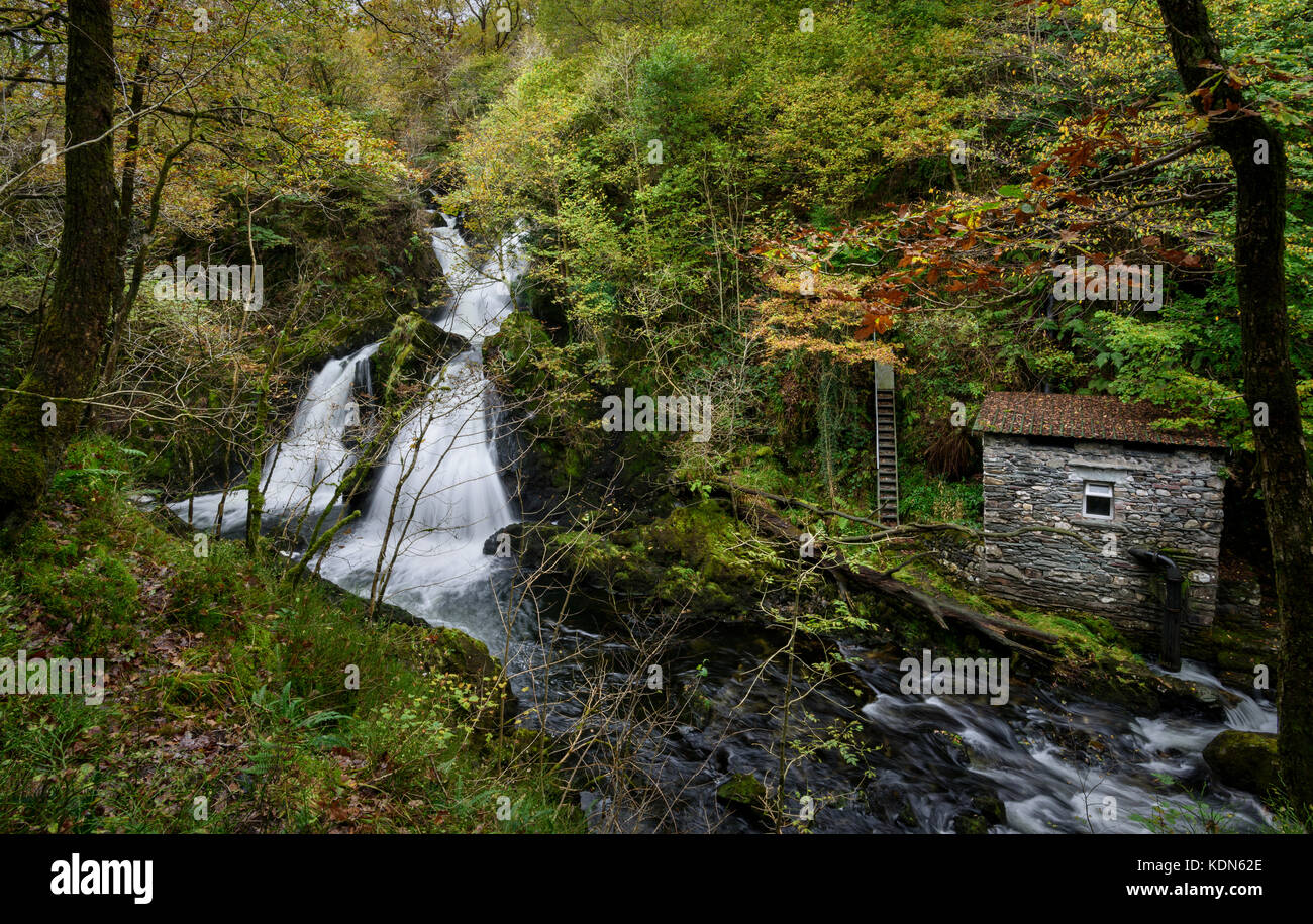 Forza Colwith, cascata sul fiume Brathay Lake District, Cumbria Foto Stock