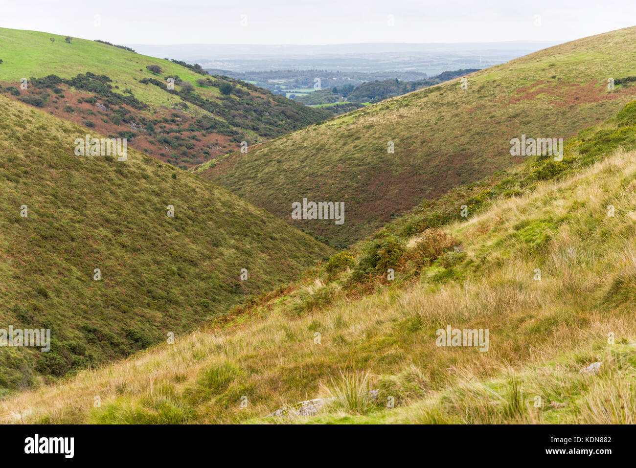 Valli sovrapposte formate da Vellake Brook e il West Okement River mentre fluiscono nel bacino di Meldon, sul Dartmoor settentrionale, Devon, Inghilterra, Regno Unito. Foto Stock
