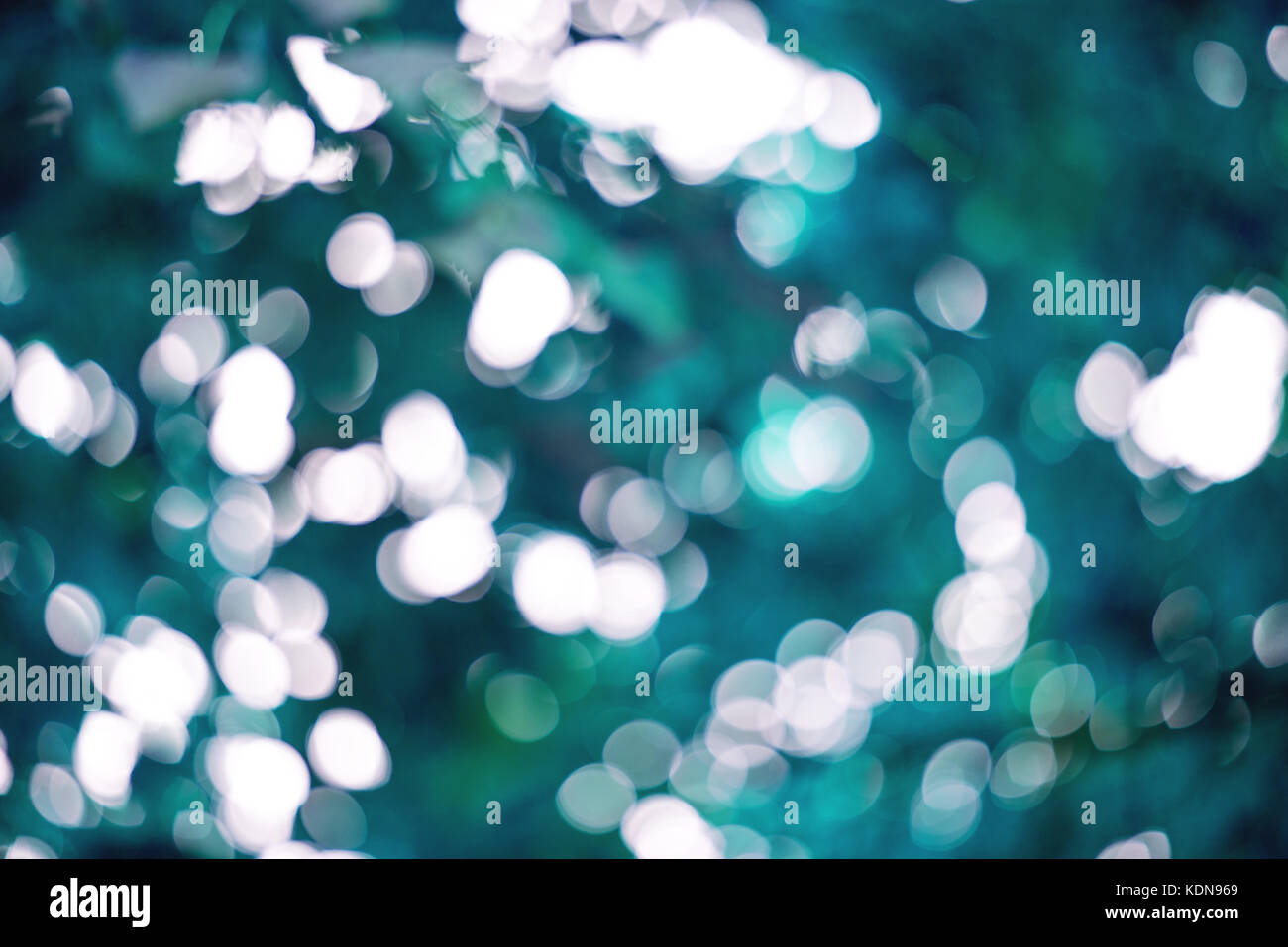 Bella la sfocatura sullo sfondo bokeh di fondo sulla natura. Foto Stock
