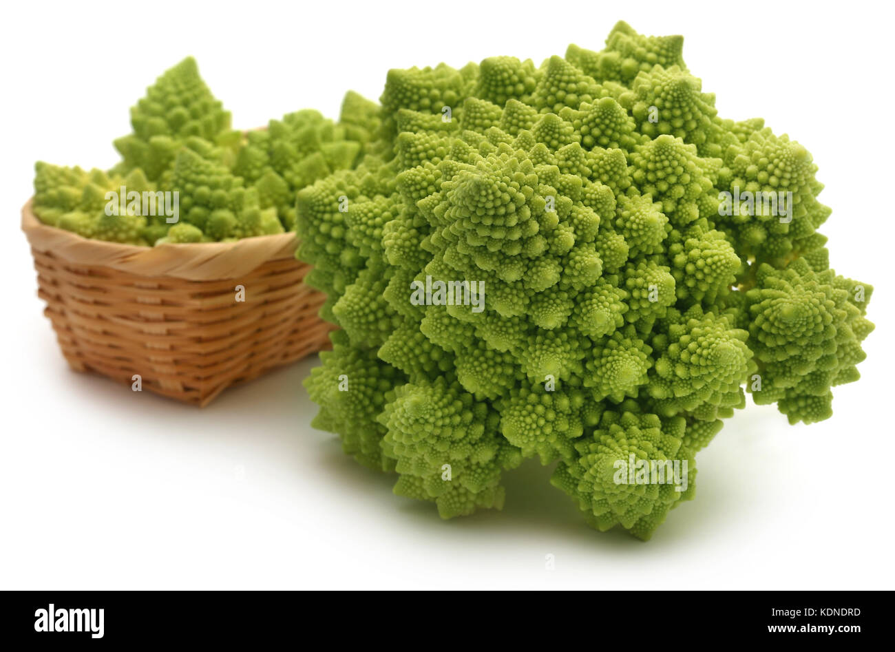 Romanesco broccoli su sfondo bianco Foto Stock