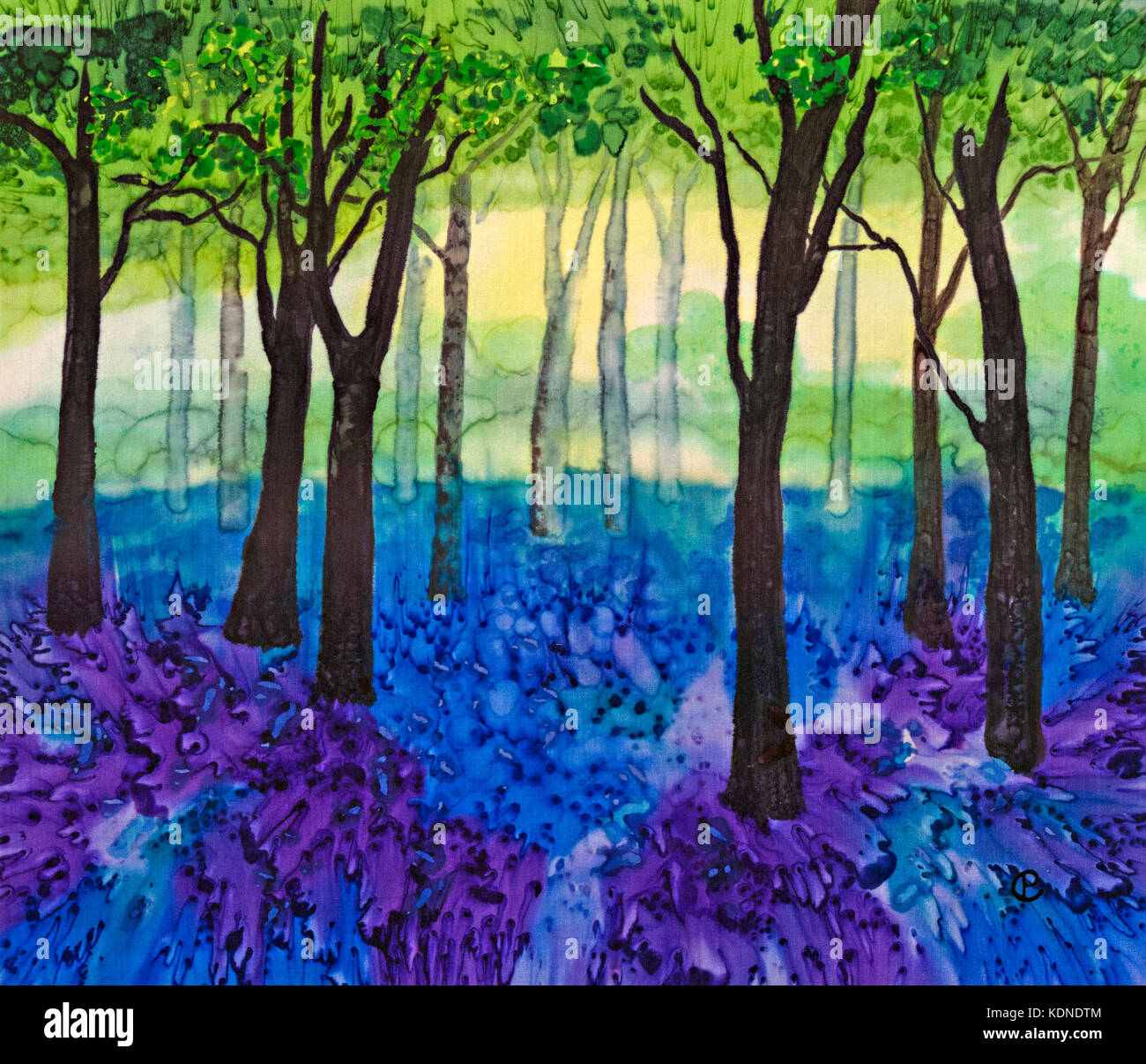 Fotografia di seta dipinto della mostra striature tappeti di blu e viola bluebell fiori nei boschi retroilluminato utilizzando vapore tinture fissate da Paula Chapman. Foto Stock