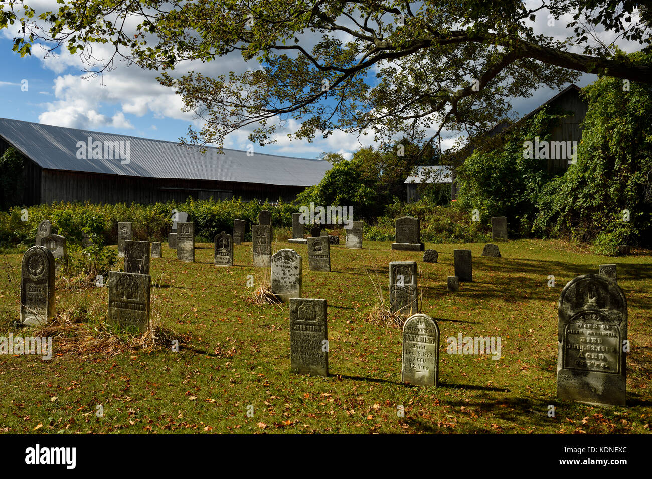 Storico cimitero di Chadsey e vecchio fienile di pecore presso la cantina e vigneto Chadsey's Cairn nella contea di Prince Edward Ontario Foto Stock