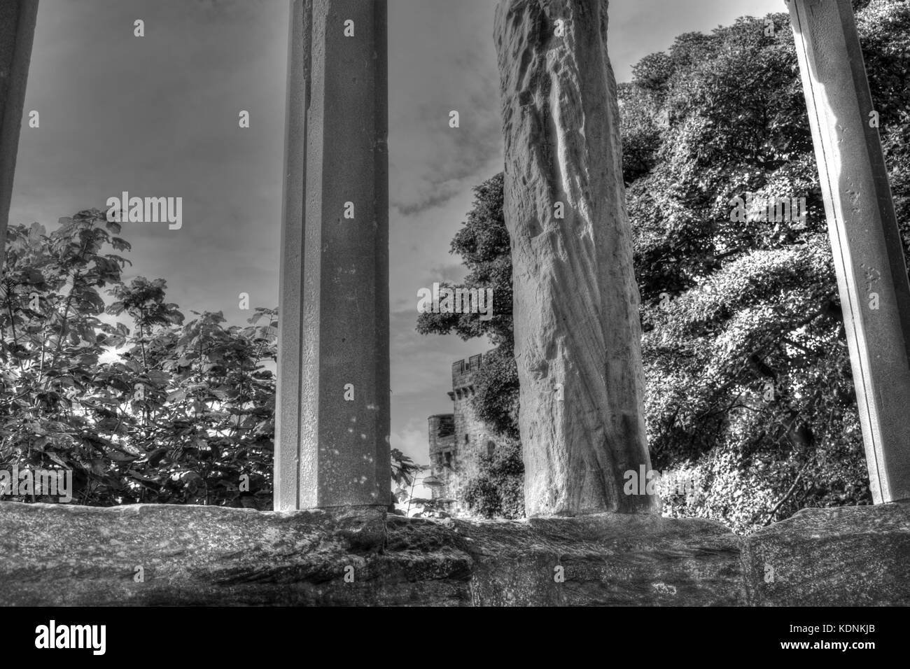 Sfondi gratis Foto Stock
