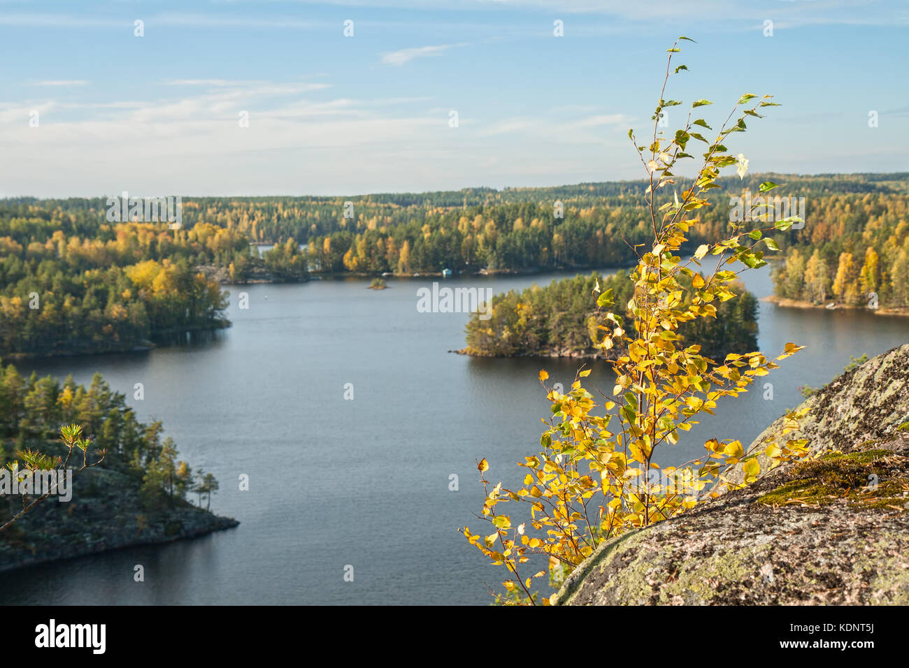 Autunno in repovesi (Finlandia, della Karelia del Sud) Foto Stock