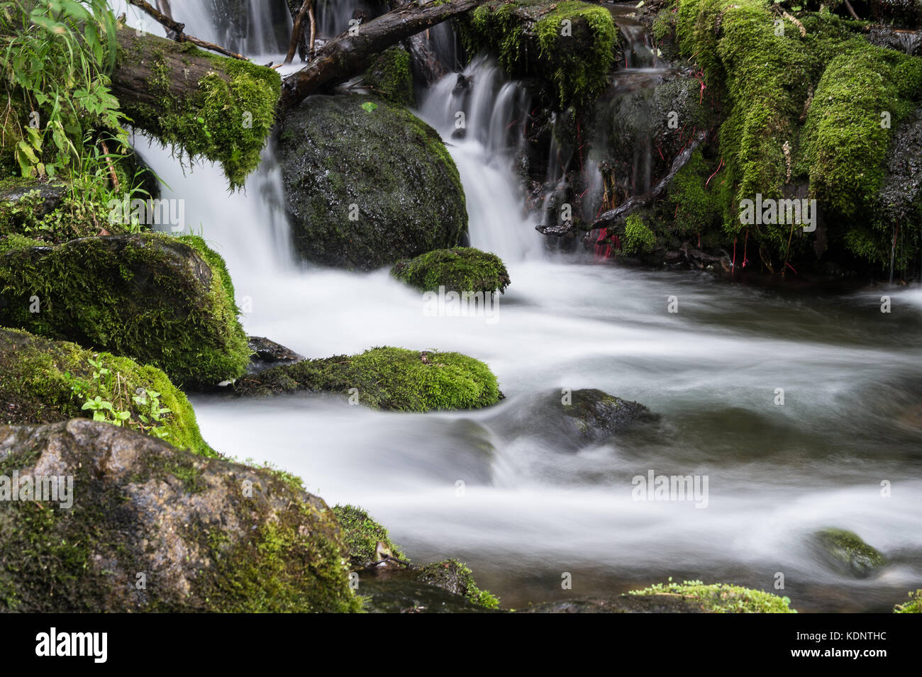 Bella sereno, flusso che scorre sulle rocce di muschio in Anchorage in Alaska, Foto Stock