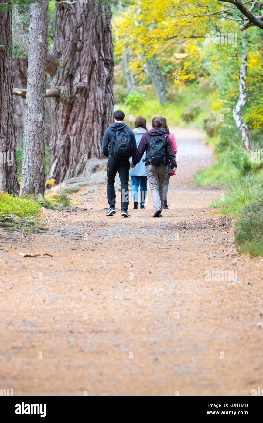 Gli escursionisti a piedi attorno al bellissimo loch eilein un sentiero attraverso la foresta rothiemurchus sul rothiemurchus estate, Aviemore Scozia, Regno Unito Foto Stock