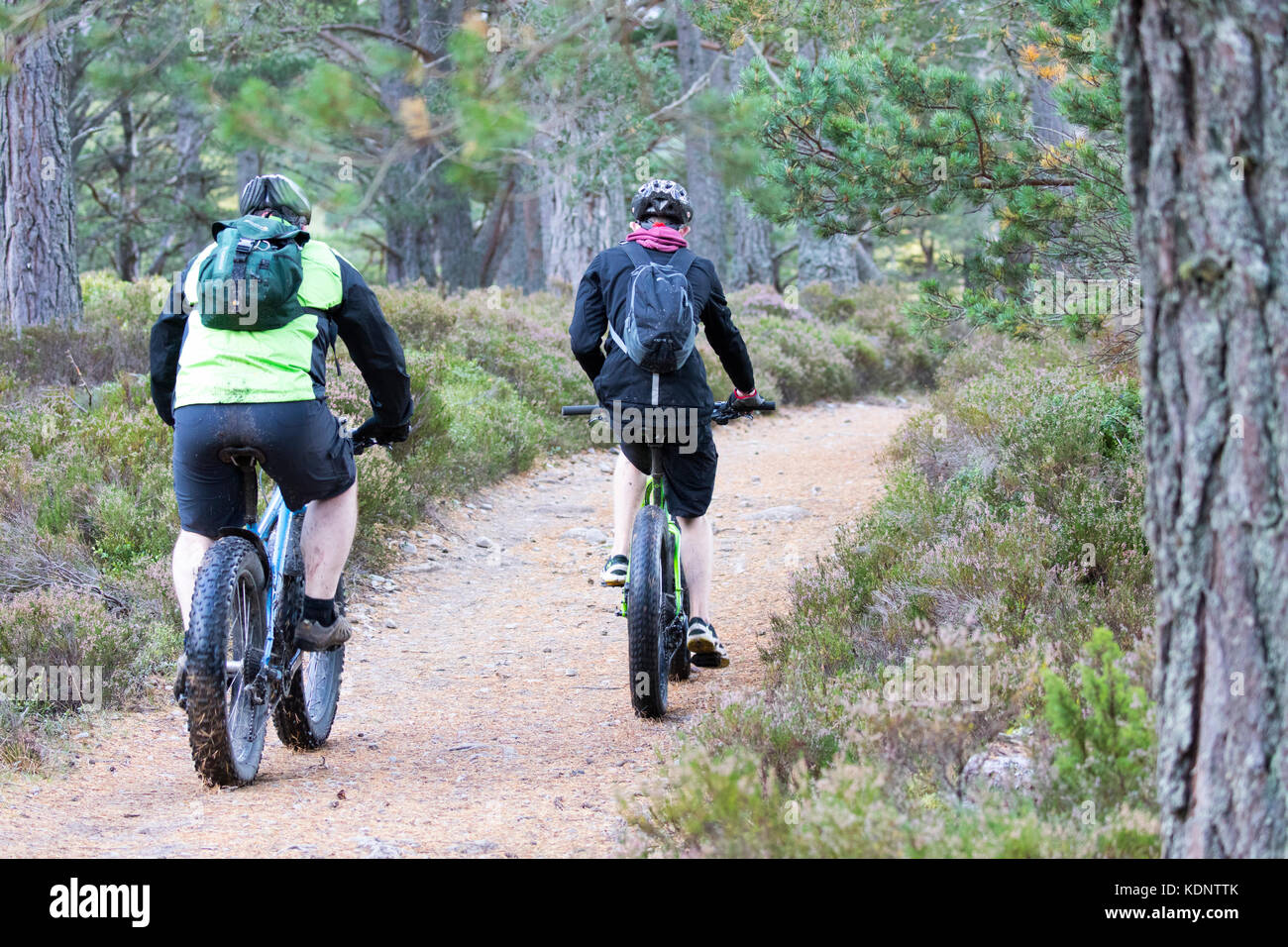 Persone in bicicletta intorno al molto popolare e ben stabilito percorsi a Loch un Eilein nella foresta Rothiemurchus parte del Rothiemurchus Estate Foto Stock