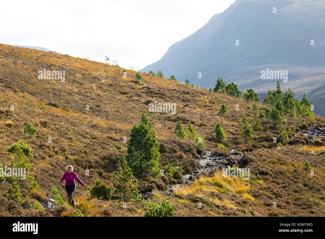 Una montagna di Walker sul sentiero lungo il lairig ghru mountain pass che passa attraverso il cairngorms, Scotland, Regno Unito Foto Stock