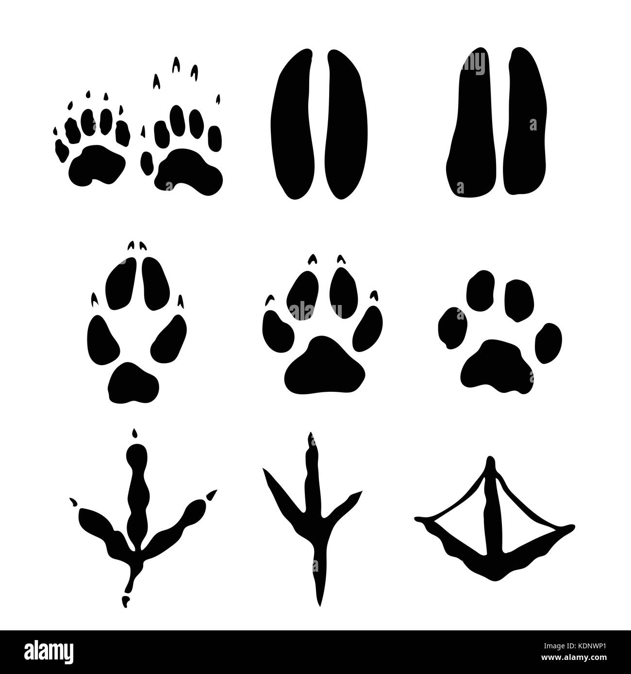 Set di mammiferi e le offerte di footprint isolati su sfondo bianco - illustrazione vettoriale. Illustrazione Vettoriale