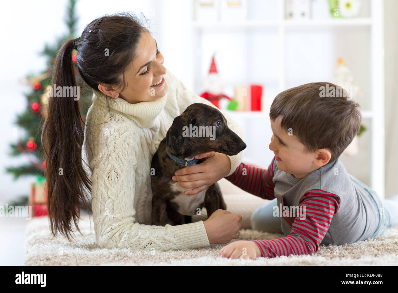 Pretty Woman, suo figlio e cane godendo di coccole in tempo di Natale Foto Stock