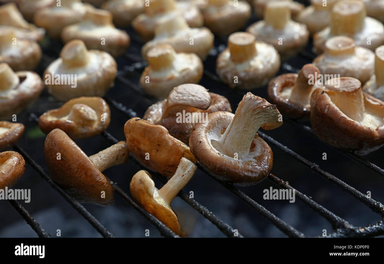 Bianco champignon funghi comuni e cinese nero funghi shiitake cotti su char grill, vicino ad alto angolo di visione Foto Stock