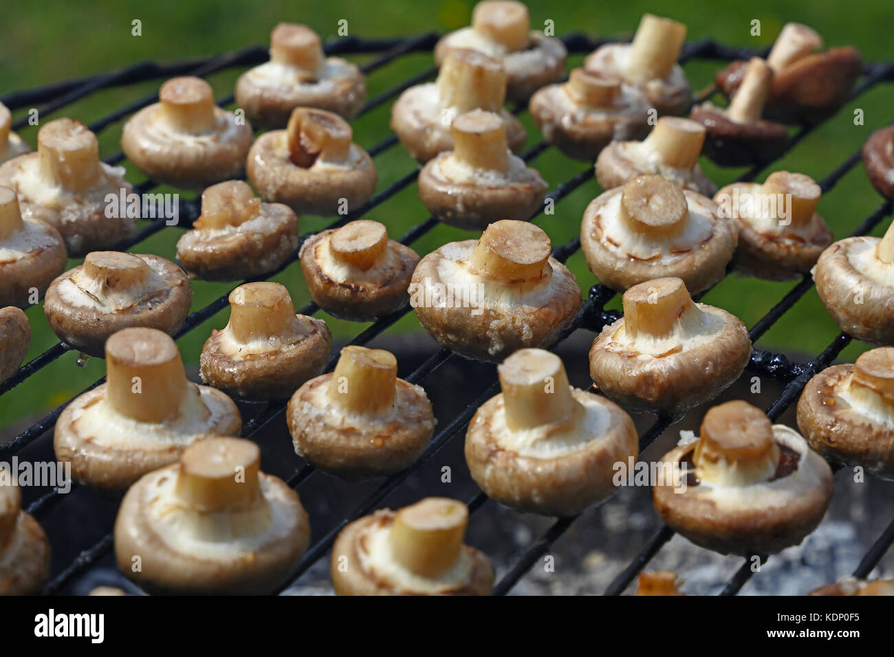 Bianco comune champignon funghi cotti su char grill su sfondo verde, vicino ad alto angolo di visione Foto Stock