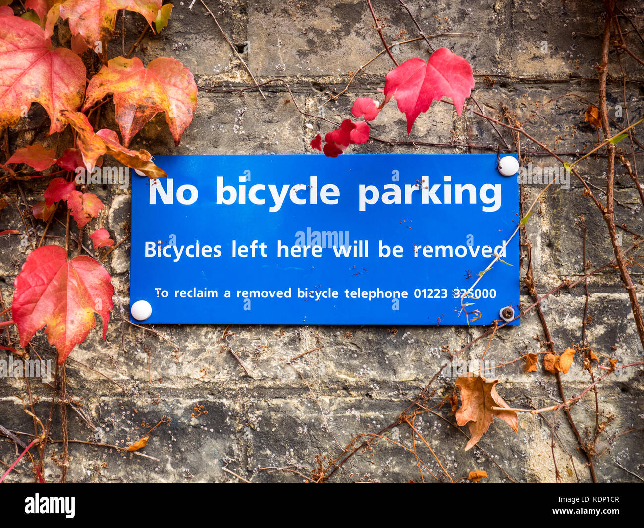 Nessun parcheggio bici segni incorniciato da foglie di autunno Foto Stock