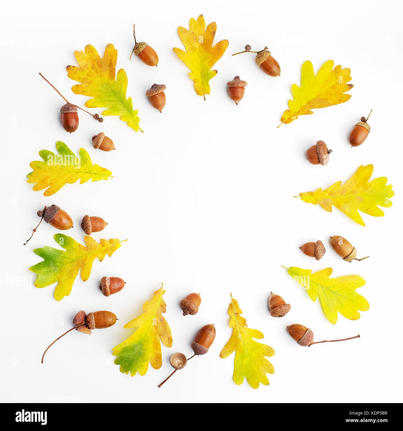 Composizione di autunno. cornice fatta di foglie di autunno e pigne su sfondo bianco. flat laico, vista dall'alto, spazio di copia Foto Stock