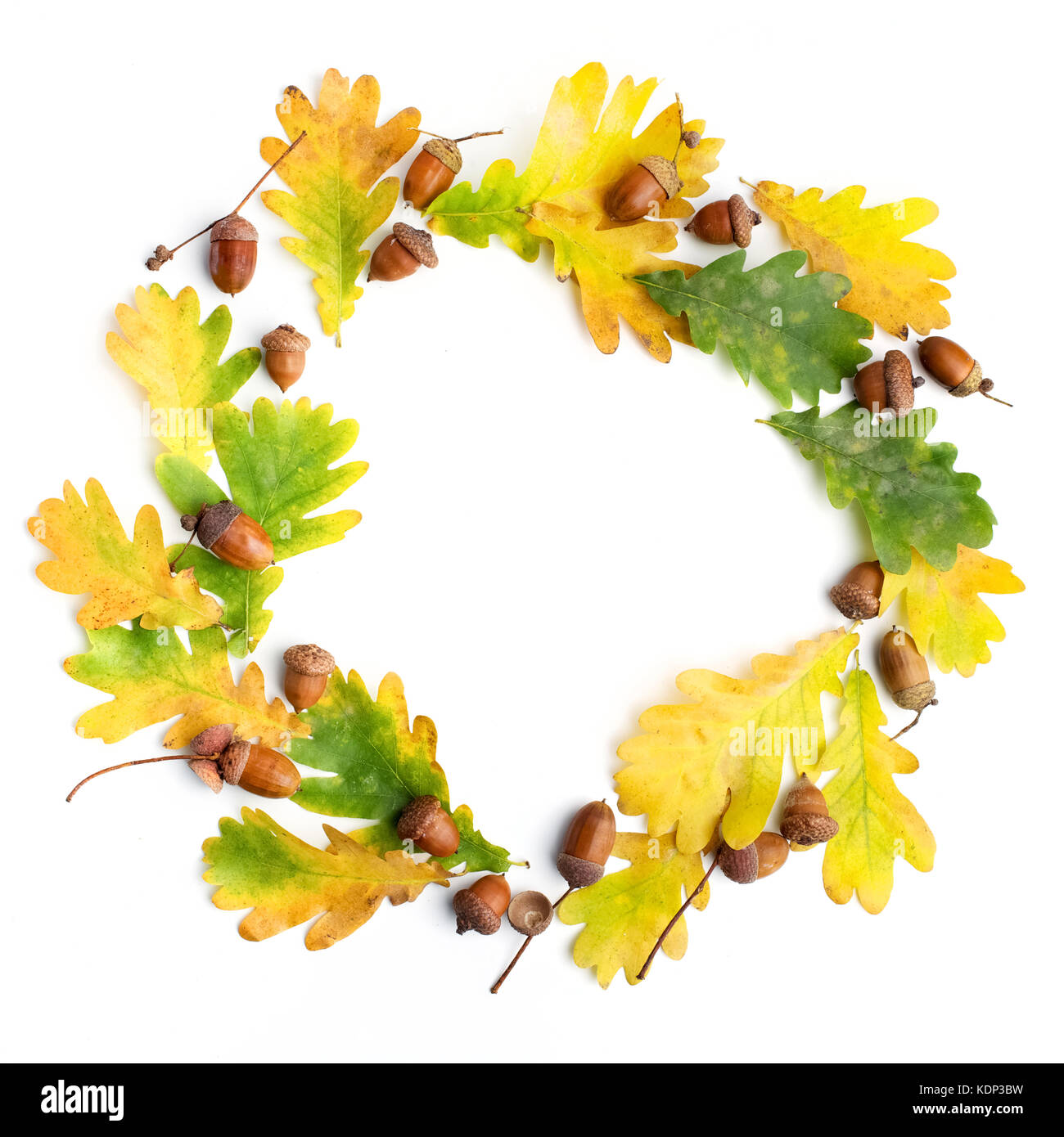 Composizione di autunno. cornice fatta di foglie di autunno e pigne su sfondo bianco. flat laico, vista dall'alto, spazio di copia Foto Stock