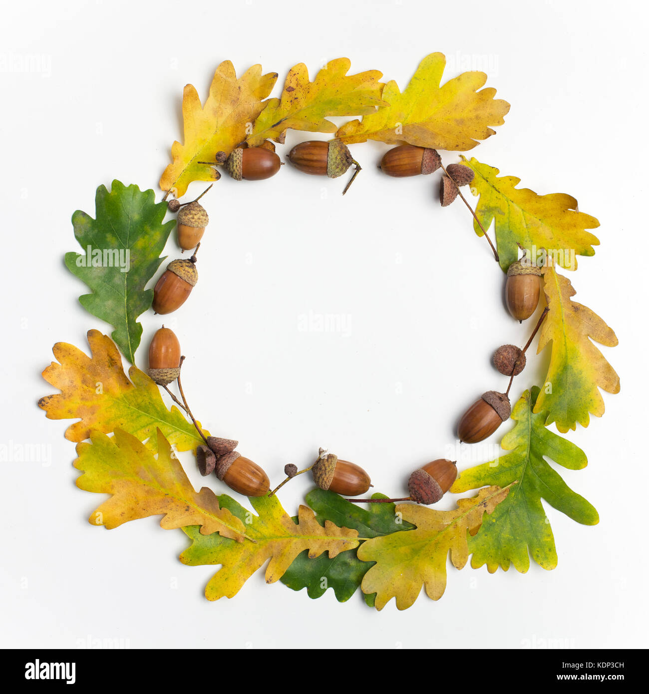 Composizione di autunno. cornice fatta di foglie di autunno e pigne su sfondo bianco. flat laico, vista dall'alto, spazio di copia Foto Stock