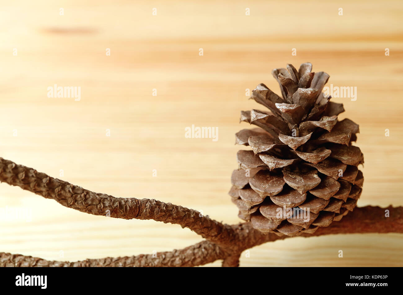 Close-up di Natural dry pigna con ramo sul marrone chiaro sfondo di legno Foto Stock