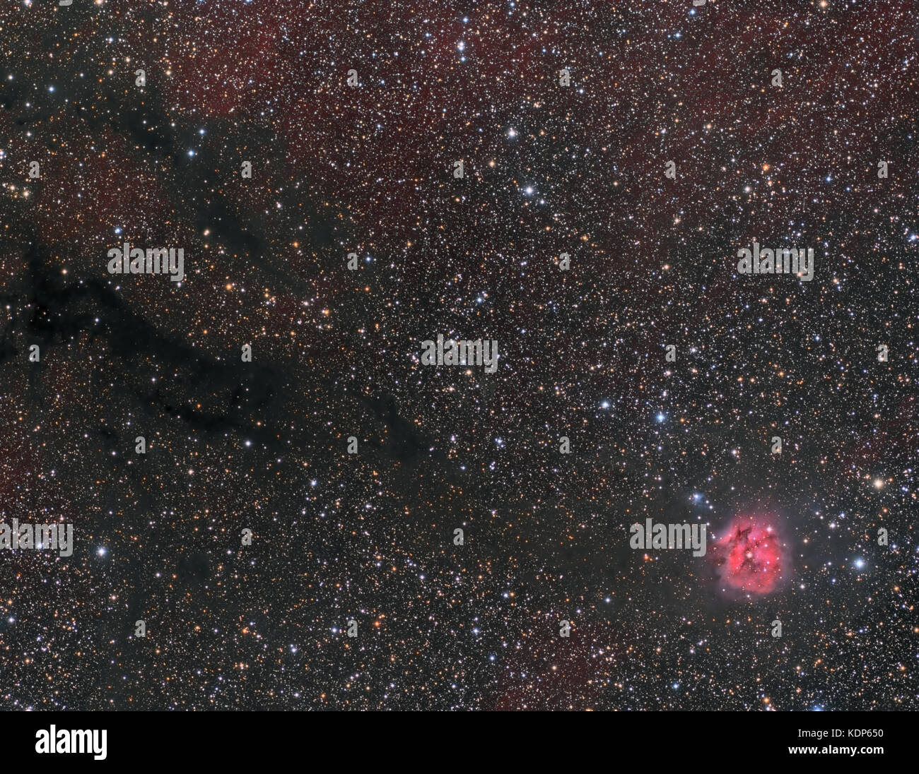 Il Cocoon Nebula (IC 5146) giace 3.300 anni luce di distanza nella costellazione del Cigno (The Swan). Foto Stock