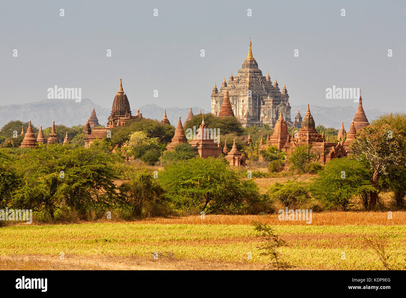 Tempio Thatbyinnyu, Bagan (pagano), Myanmar (Birmania), Sud-est asiatico Foto Stock