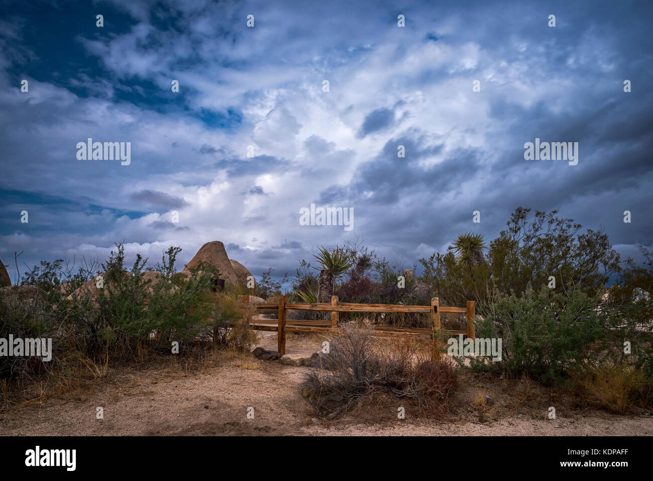 Nuvole temporalesche passando attraverso il deserto mojave a Joshua tree mostrano una surreale impostazione crepuscolo lungo un sentiero del campeggio. Foto Stock