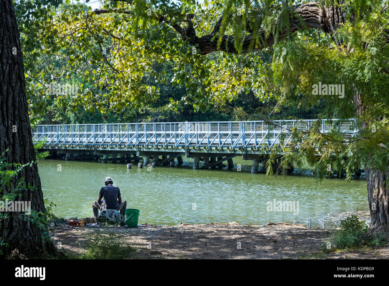 Pescatore solitario sulla riva del lago White Rock dallas un pomeriggio estivo Foto Stock