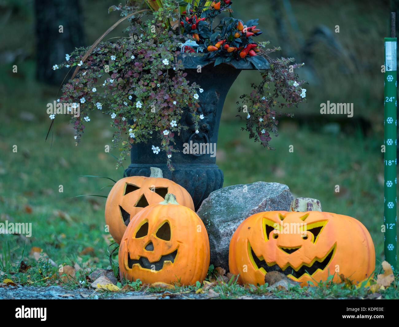 Jack o zucca lanterna display Foto Stock