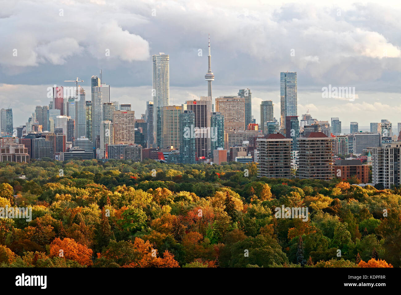 Toronto Downtown e midtown skyline con brillanti colori autunnali illuminate dalla luce del sole in ritardo dopo la tra fronti freddi in autunno Foto Stock