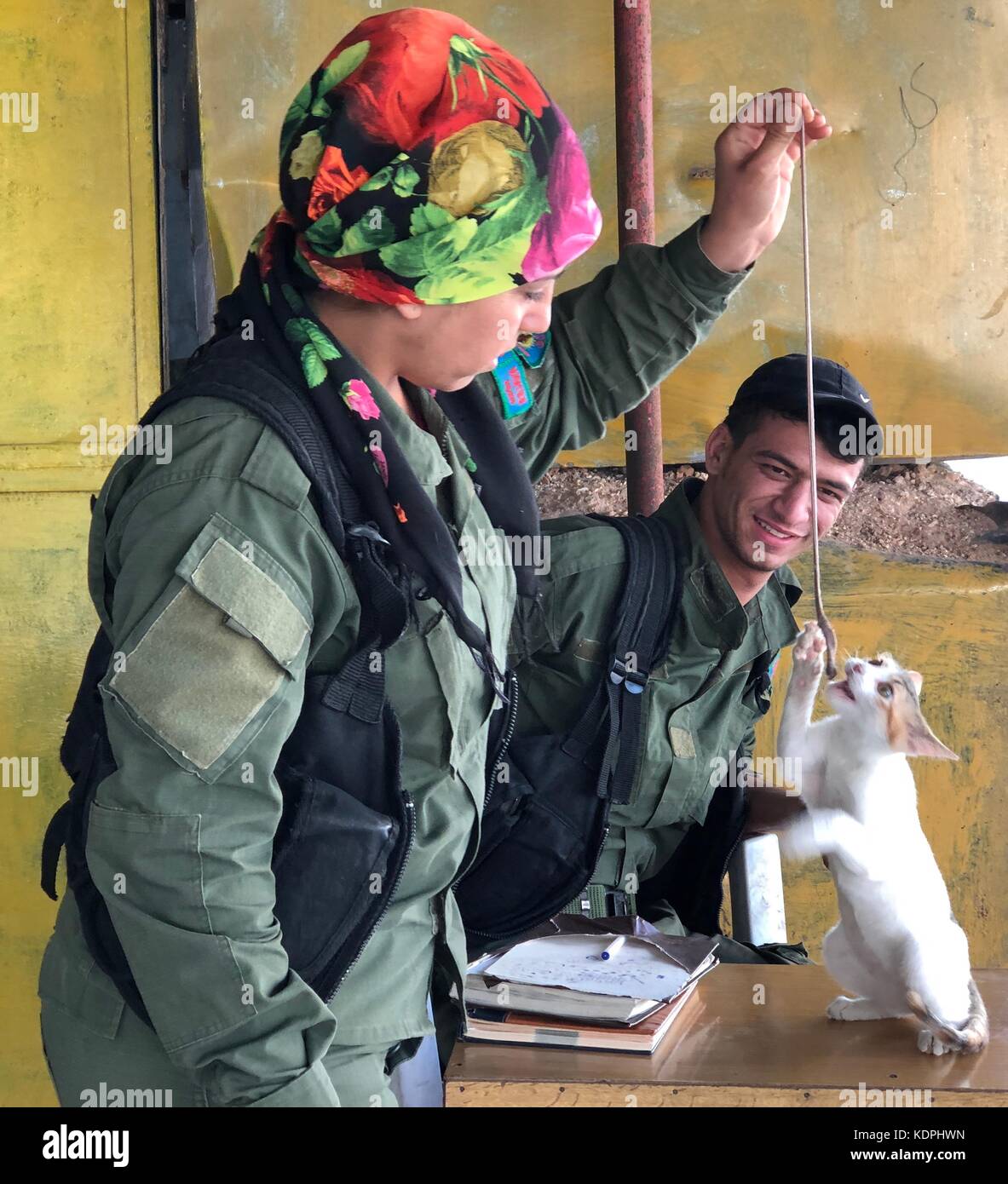 Pechino, Siria, Cina. 11 ottobre 2017. Un membro delle forze di sicurezza interna curde gioca con un gattino nel quartiere controllato dai curdi Sheikh Maksood nella città di Aleppo, nel nord della Siria, 11 ottobre 2017. Crediti: Hummam Sheikh Ali/Xinhua/Alamy Live News Foto Stock