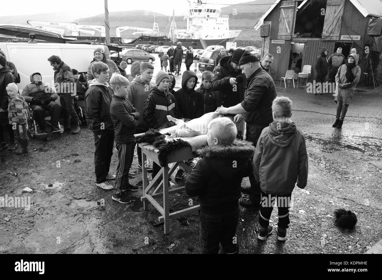 Eidi Village, Isola di Eysturoy, Isole Faroe, 14 ottobre 2017. Gli abitanti dei villaggi faroesi osservano la tradizionale dimostrazione di macellazione delle pecore al locale festival di Heystfagnadur. Foto Stock