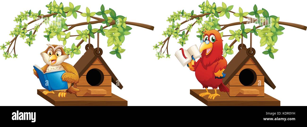 Owl e parrot libro lettura in birdhouse illustrazione Illustrazione Vettoriale