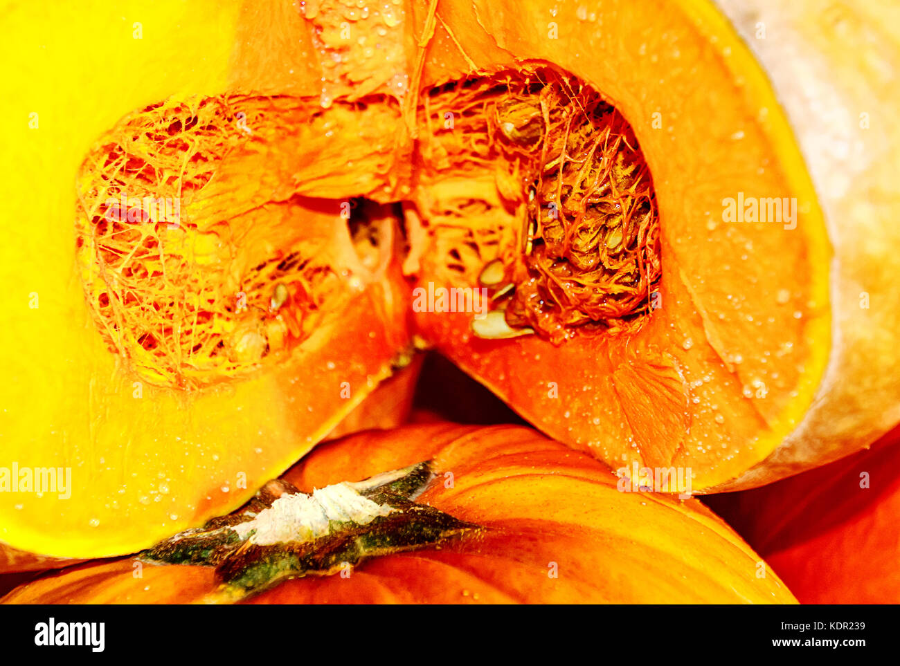 Spessore, deep orange, moderatamente dolce carne di mature bellissime musquee de provence, o zucca da favola Foto Stock