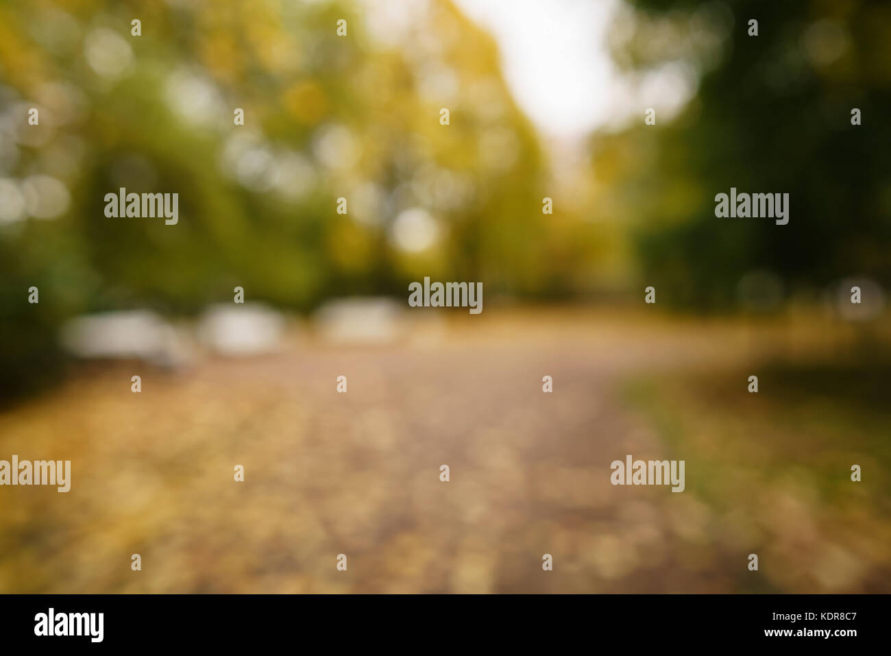 Bokeh sfondo della città di autunno dorato con caduta di alberi e foglie cadute, Foto Stock