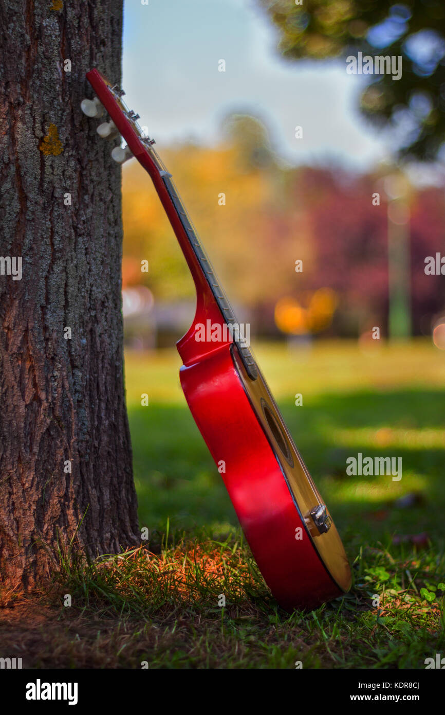 Bambini chitarra acustica appoggiata contro la struttura ad albero Foto Stock