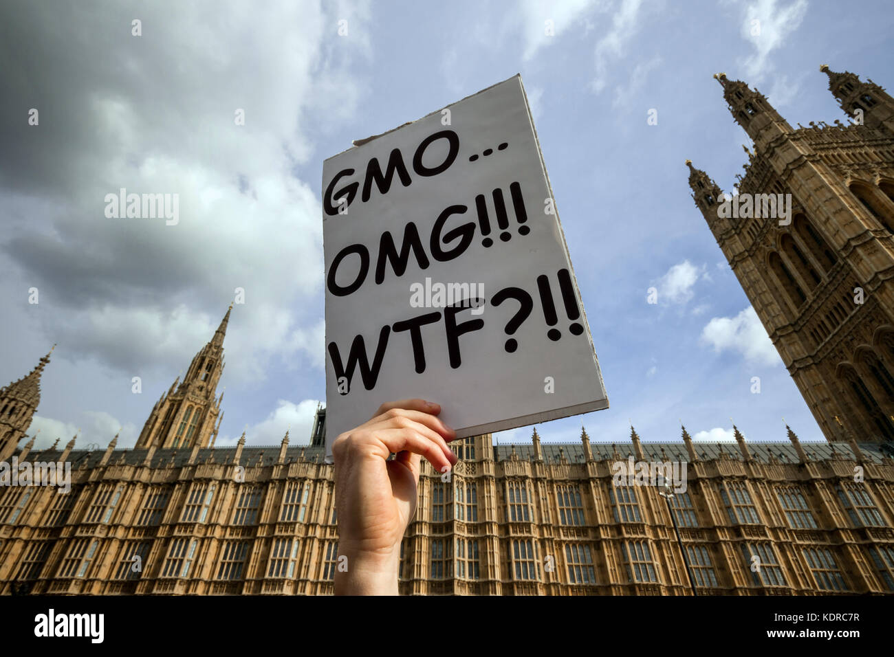 La protesta contro la Monsanto Company da OGM attivisti ambientali in Westminster, Londra, Regno Unito Foto Stock