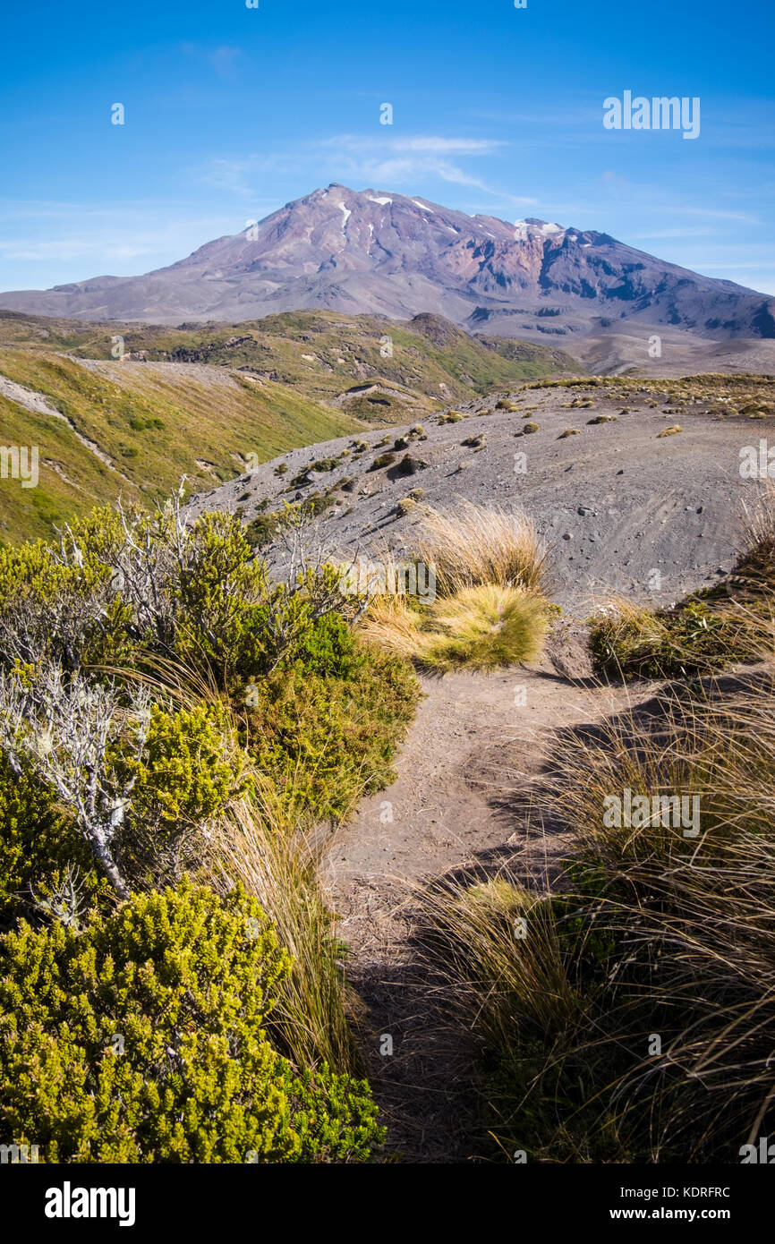 Una vista del Monte Ruapehu, parco nazionale di Tongariro, Nuova Zelanda Foto Stock