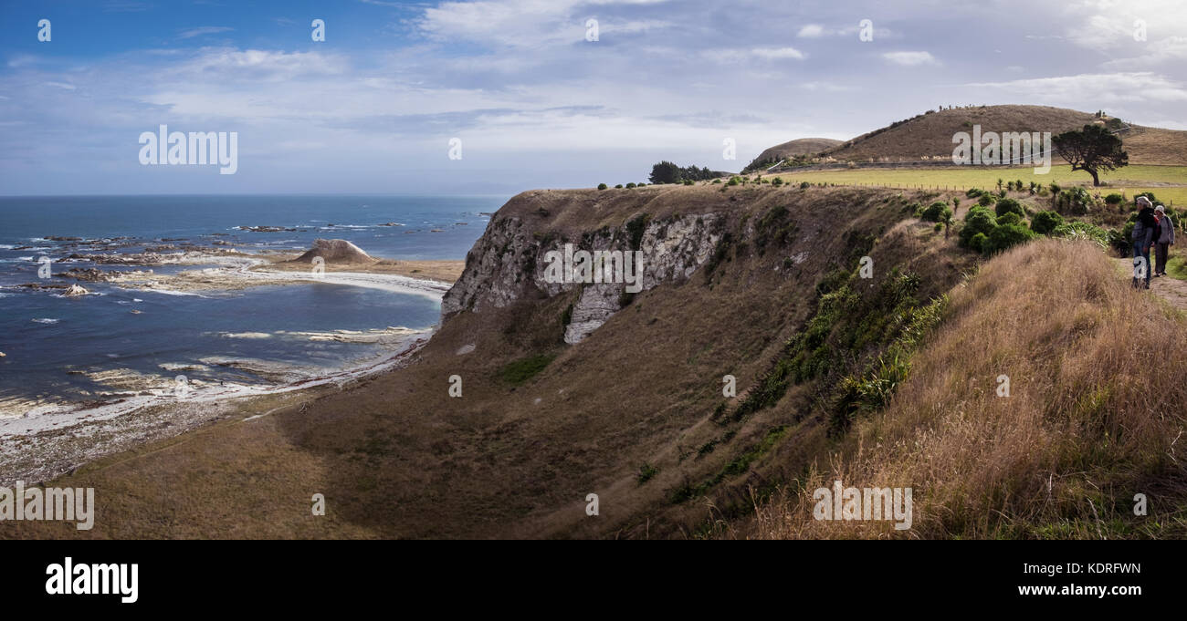 Il litorale di Kaikoura, Nuova Zelanda Foto Stock