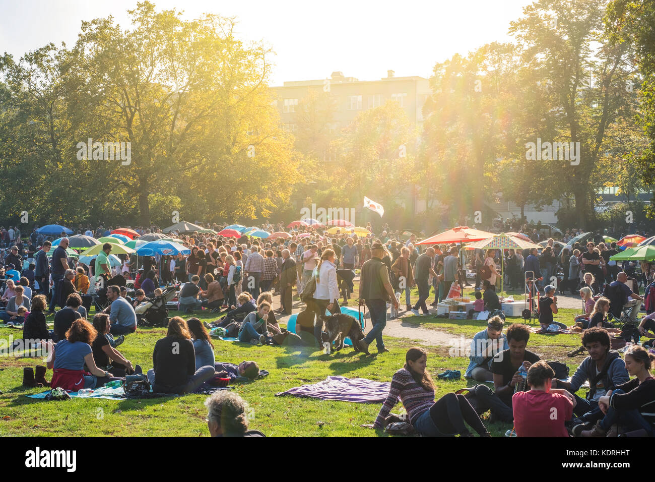 Berlino, Germania - ottobre 2017: cibo tailandese mercato / street food nel parco pubblico (Preussenpark) a Berlino Germania Foto Stock