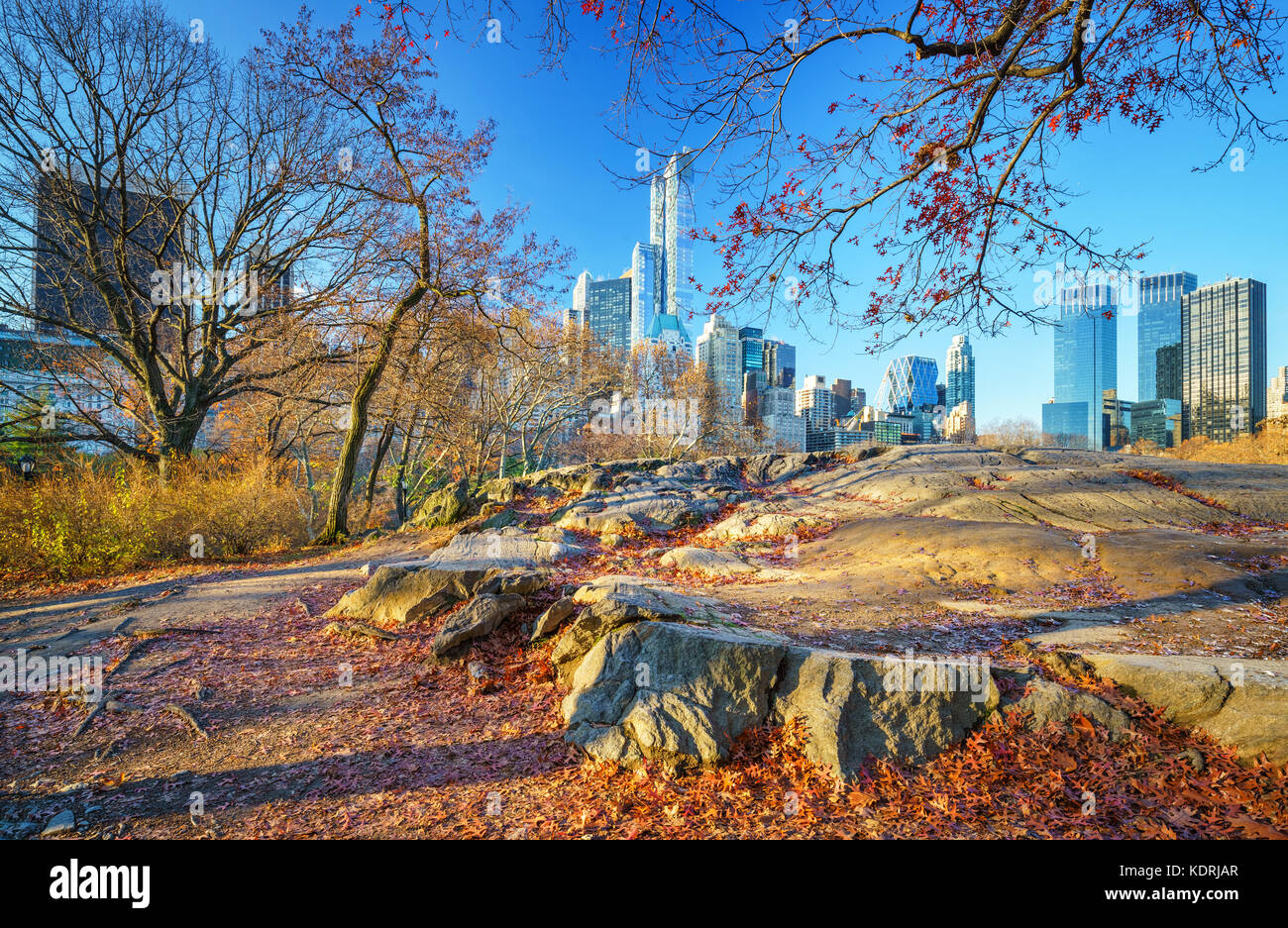 Central Park in autunno mattina Foto Stock