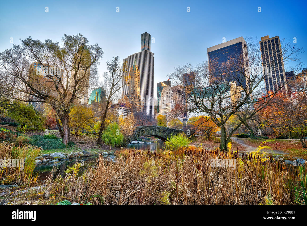 Central Park in autunno mattina Foto Stock