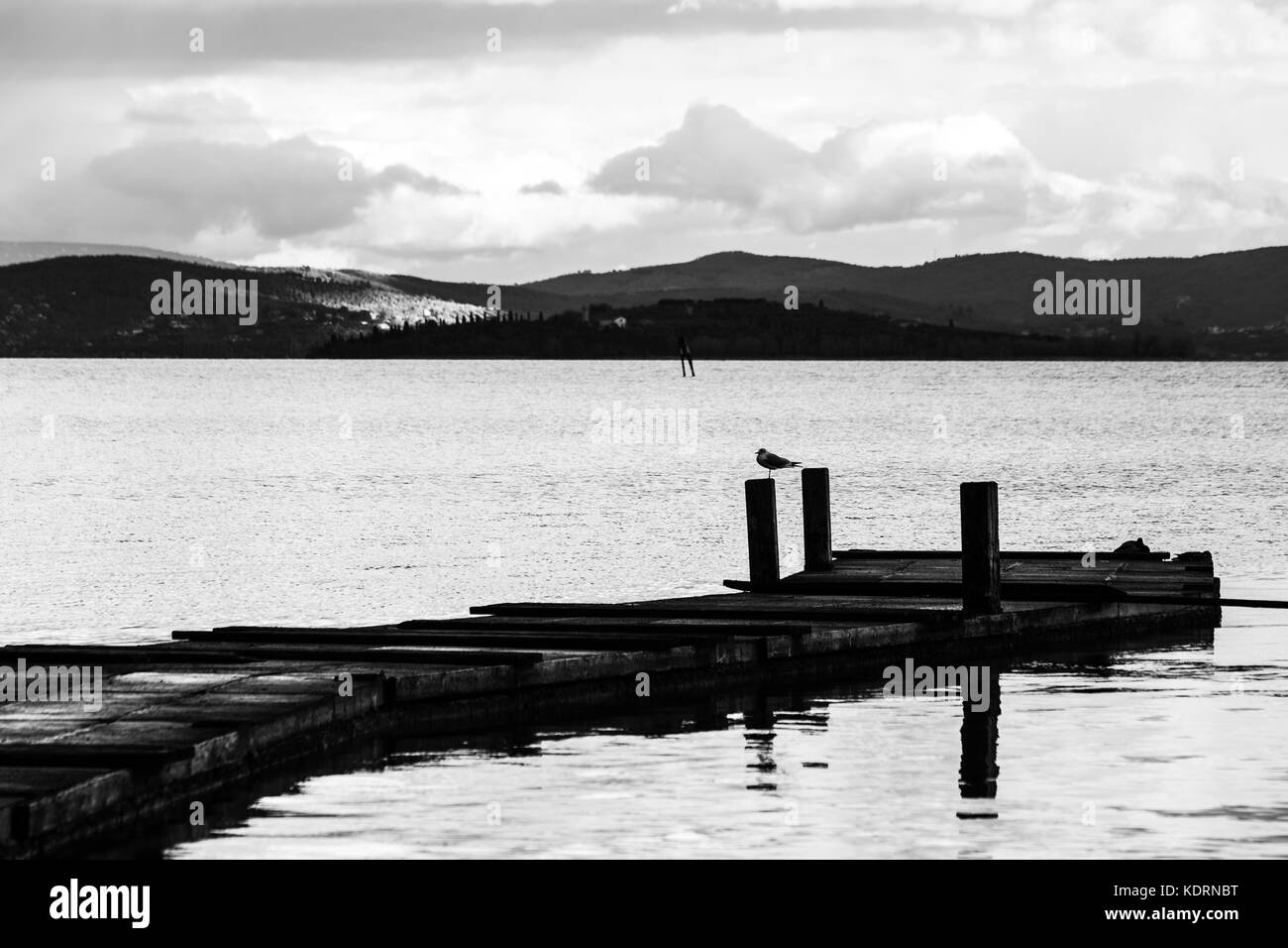 Un gabbiano su un palo su un molo, con acqua bella riflessioni e lontane colline in background Foto Stock