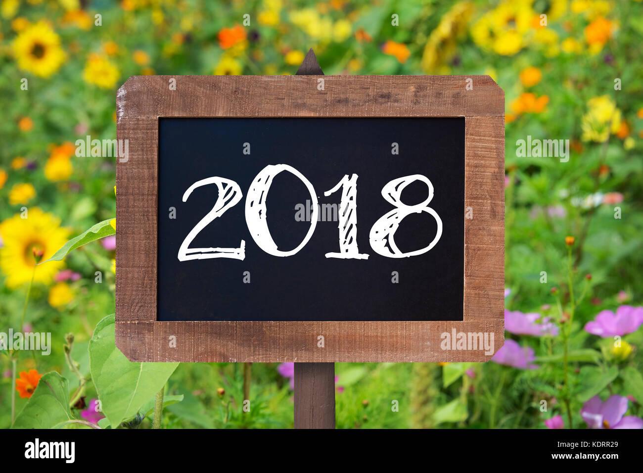 2018 scritto su di un cartello in legno, girasoli e fiori selvatici in background Foto Stock