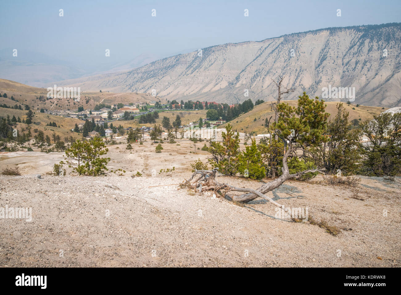 Mammoth Hot Springs geo-area termale presso il Parco Nazionale di Yellowstone, Wyoming Foto Stock