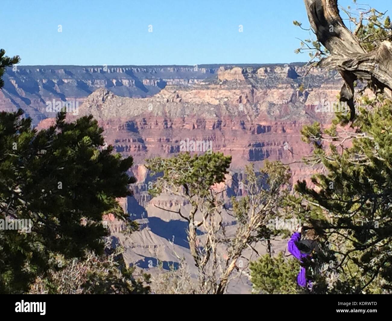 Parco nazionale del Grand Canyon, south rim vista mozzafiato Foto Stock