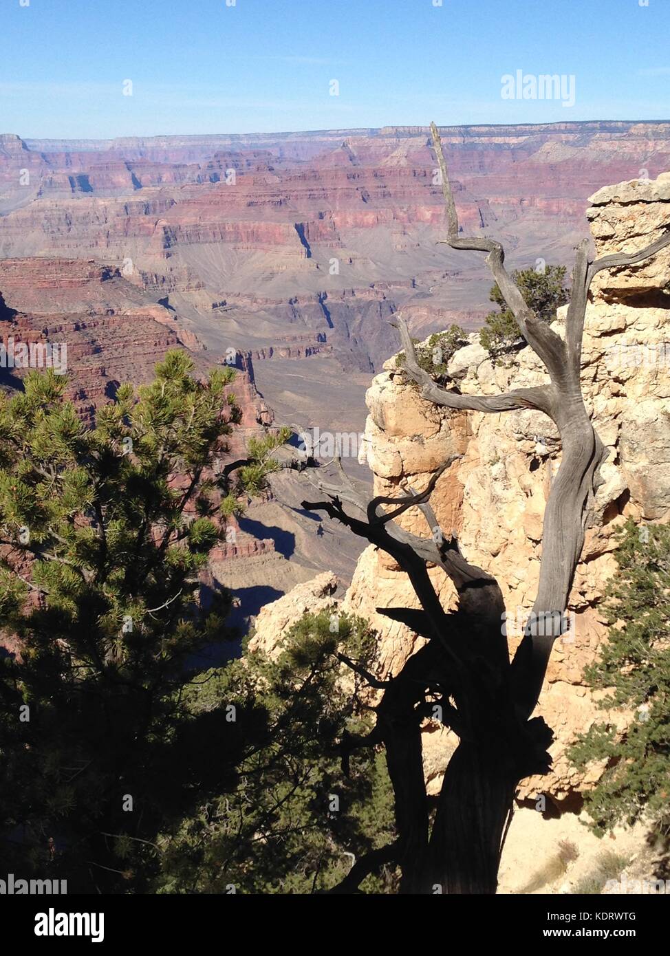 Parco nazionale del Grand Canyon, south rim vista mozzafiato Foto Stock