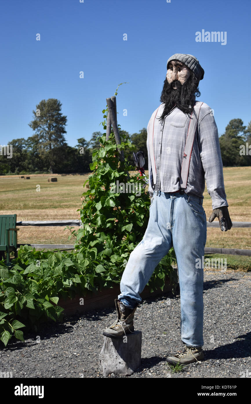 Paul Bunyan il leggendario lumberjack si erge nel giardino di Hovander Park in Ferndale, Washington. Questa è una parte del giardino per bambini. Foto Stock