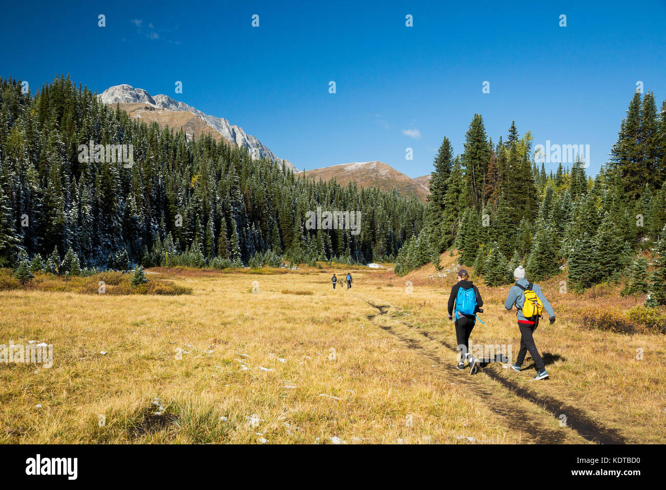 Escursionisti nel Pocaterra Cirque, Kananaskis Country, Alberta, Canada. Foto Stock
