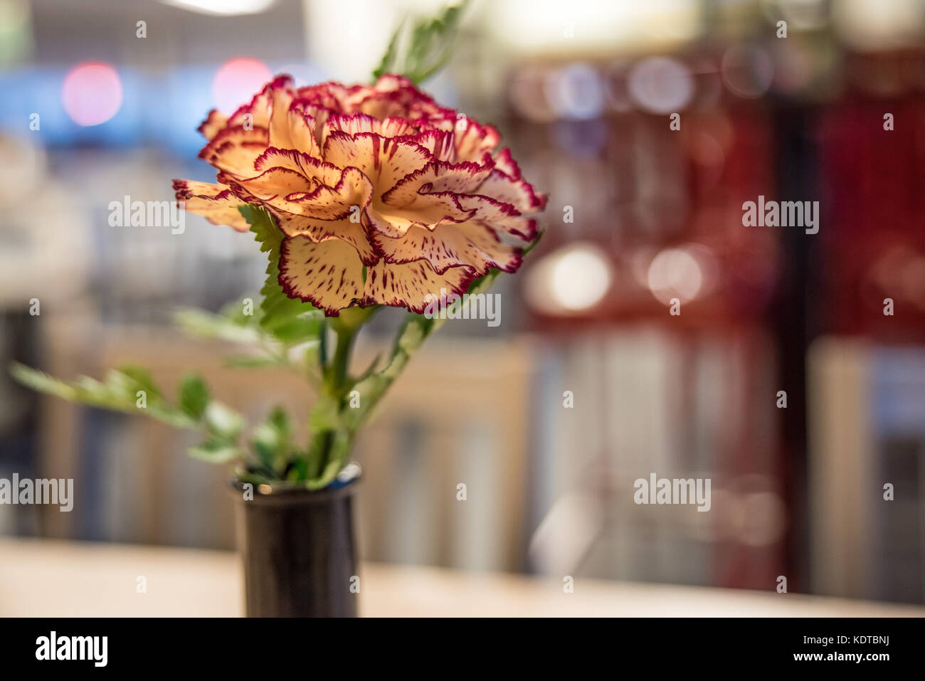 Fiori freschi su ogni tavolo è un tratto distintivo del Pulcino-fil-Un ristorante della catena (america preferito di fast-food). Foto Stock