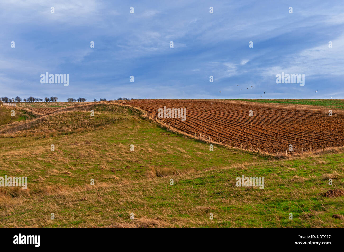 Agricolo di prati e Arata/Campo Arato Foto Stock