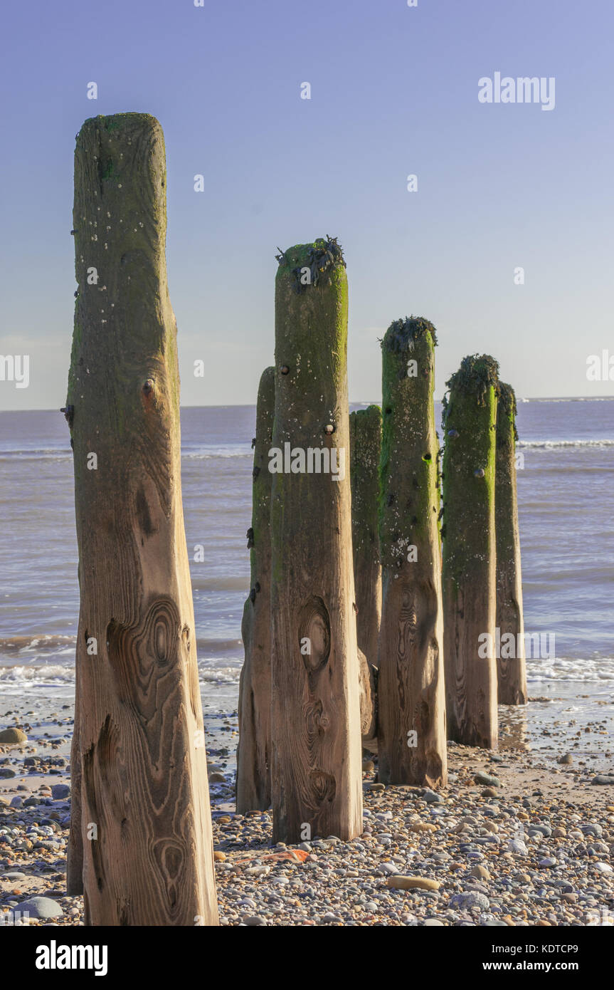Struttura di frangionde di legno in spiaggia , oceano distanti Foto Stock