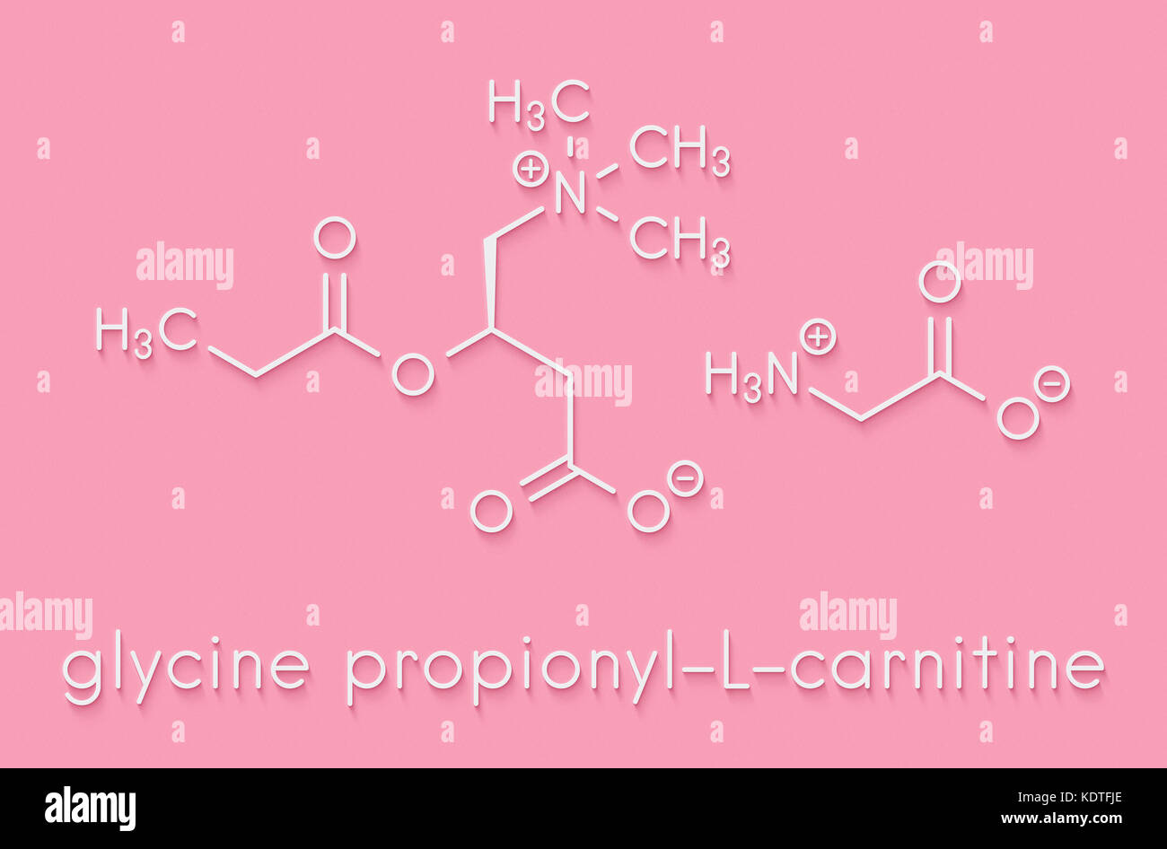 l-carnitina vitafor L-Carnitina - 60 Caps - Vitafor
